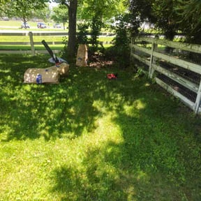 Leaf Removal by SGP Lawn Services reviewed on October 9, 2024