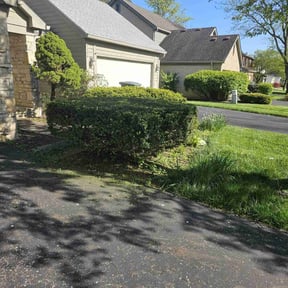 Bush Trimming by Mowing on reviewed on May 23, 2022