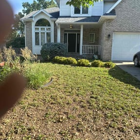 Cleanups by Dabbic Lawn Care LLC reviewed on July 21, 2022
