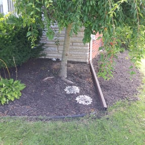 Flower Bed Weeding by Jeff's Lawn service reviewed on July 21, 2022