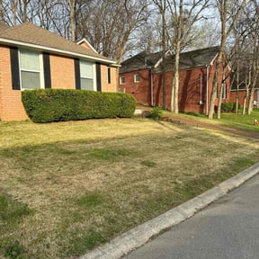 Bush Trimming by Peaks Property Maintenance reviewed on November 9, 2022