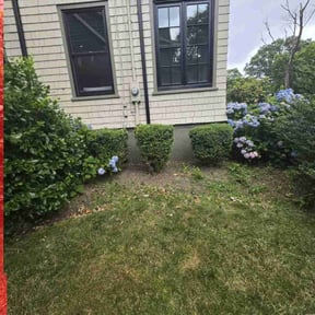 Bush Trimming by Complete property management reviewed on May 28, 2022