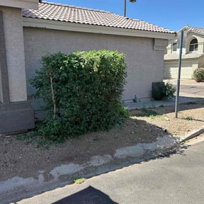 Bush Trimming by ForeverGreen Lawn Care reviewed on April 11, 2023