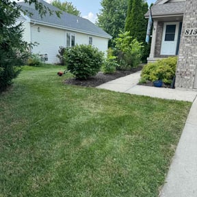 Flower Bed Weeding by XPRESS LAWN CARE reviewed on September 10, 2021