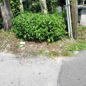 Bush Trimming by JJ&amp;D Property Management reviewed on June 27, 2025