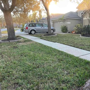Leaf Removal by Joseph Fullner reviewed on May 6, 2022