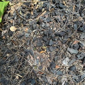 Weeding by 3GUYSLAWNCARE reviewed on June 15, 2022