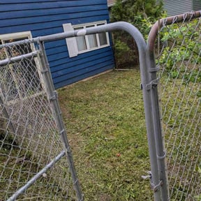 Cleanups by True Grass Care reviewed on July 20, 2025