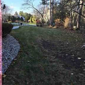 Leaf Removal by Redline Property Maintenance (RPM) reviewed on May 13, 2022