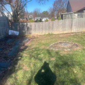 Leaf Removal by The guy property maintenance reviewed on May 31, 2022