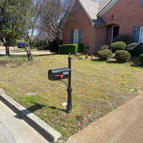 Cleanups by Watkins and Son Outdoor and Lawn reviewed on October 1, 2024