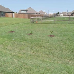 Landscaping by Unique Landscaping reviewed on October 8, 2024