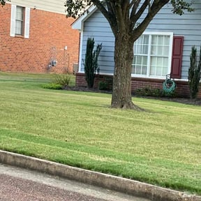 Leaf Removal by Lucky Lawn reviewed on June 29, 2022