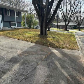 Leaf Removal by Lone Star Gigs reviewed on June 12, 2022