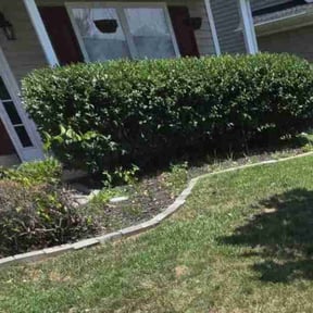 Bush Trimming by Dxd lawn care reviewed on July 15, 2022