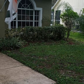 Bush Trimming by Aparicio Lawn Care reviewed on November 30, 2022
