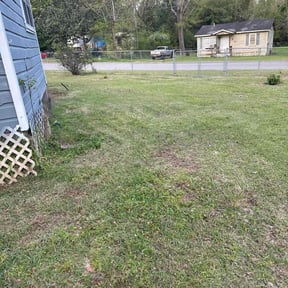 Leaf Removal by As Good As You Do It Lawn Care reviewed on July 21, 2025