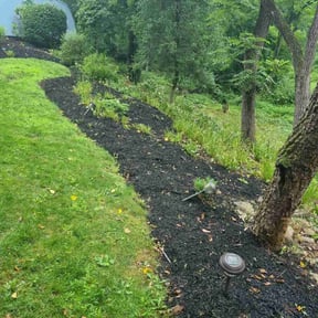 Flower Bed Weeding by Mieozzies Lawn Service LLC reviewed on March 20, 2025