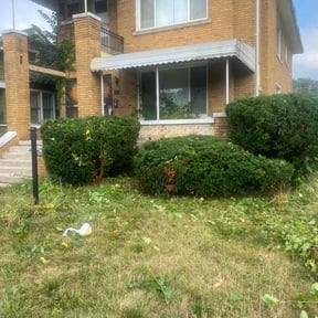 Bush Trimming by Krispy Kutz LLC reviewed on June 30, 2025