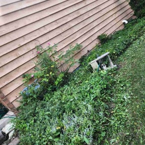Cleanups by GC Lawn Care & Landscaping Services reviewed on June 16, 2022