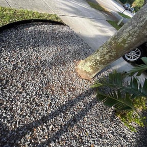 Flower Bed Weeding by Faire N Square reviewed on May 10, 2022