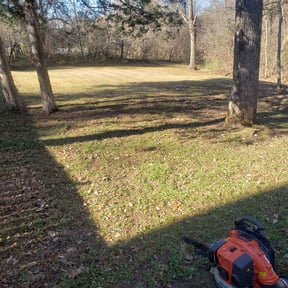 Leaf Removal by Hand Tailored Concepts reviewed on June 28, 2019