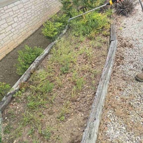 Weeding by Cole's Lawn Care Service reviewed on August 26, 2020
