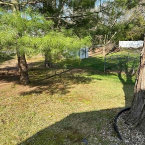 Leaf Removal by Johnson & Abney property management reviewed on June 6, 2022