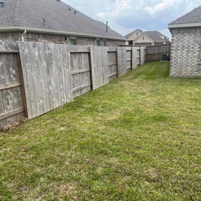 Cleanups by Jeff's Lawn service reviewed on August 6, 2022