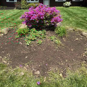 Weed Pulling by Jay Jay & W Landscaping, LLC reviewed on June 4, 2022