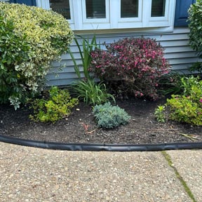 Flower Bed Weeding by Forever Green Landscape reviewed on May 2, 2022