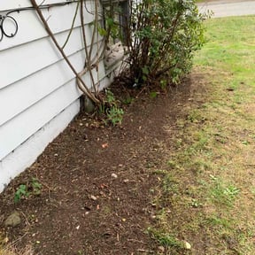 Flower Bed Weeding by Dolly mae lawn care co. reviewed on June 13, 2022
