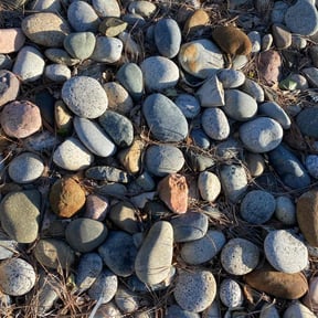 Flower Bed Weeding by I Got You, LLC reviewed on September 15, 2024