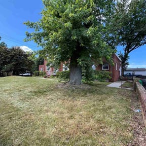 Weeding by CnA Lawn and landscape reviewed on July 19, 2022