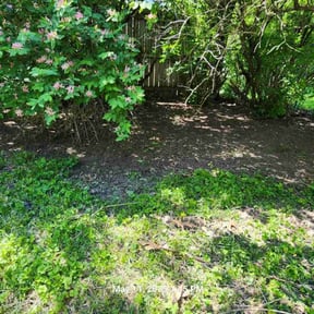 Flower Bed Weeding by Dale Brooks reviewed on April 5, 2022