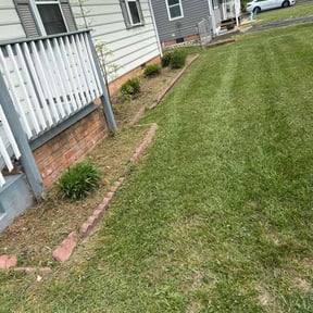 Bush Trimming by Jeri Cleaning Services reviewed on April 30, 2025