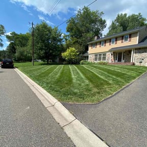 Cleanups by Best of Pros Lawn Service reviewed on October 10, 2024