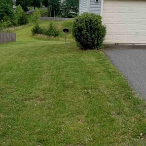 Bush Trimming by AP Landscapers reviewed on October 24, 2024