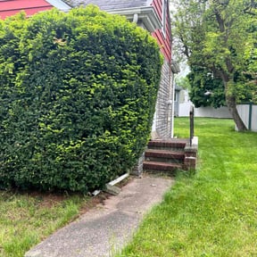 Bush Trimming by 180 Lawn and Landscape LLC reviewed on May 15, 2022