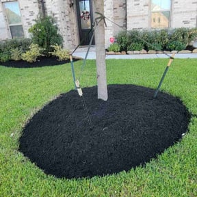 Mulching by Verde lawn care reviewed on May 14, 2022