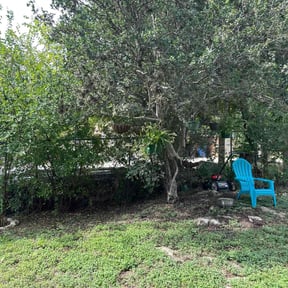 Bush Trimming by Creekside Home & Lawn Care LLC reviewed on July 12, 2022