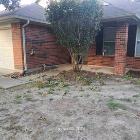 Bush Trimming by Green City Landscaping Co LLC reviewed on July 3, 2022