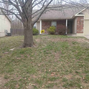 Leaf Removal by MTB lawn care reviewed on July 30, 2022