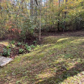 Leaf Removal by Just us landscaping LLC reviewed on July 11, 2022