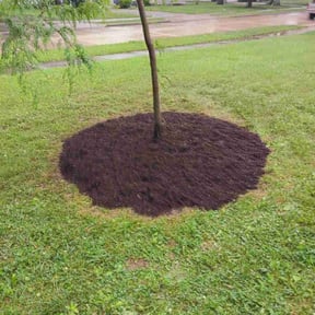 Mulching by The customer first reviewed on July 11, 2022