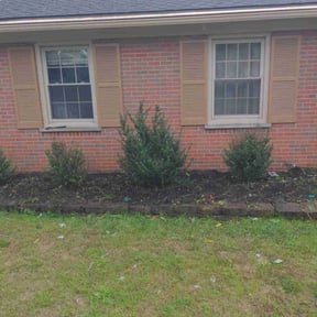 Weeding by LawnGoals reviewed on July 9, 2020