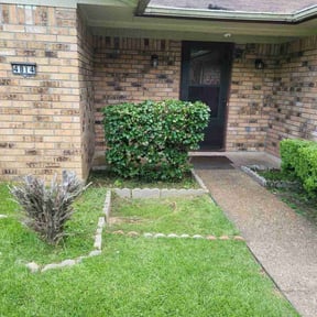 Bush Trimming by Green Cutters reviewed on August 1, 2022