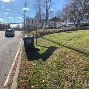 Leaf Removal by Lawnboy reviewed on May 25, 2022