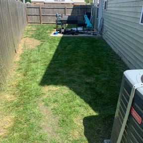 Bush Trimming by Shayron's Quality Care Lawn Care LLC reviewed on April 13, 2025