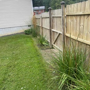 Cleanups by Jones lawncare and repair llc reviewed on August 3, 2024